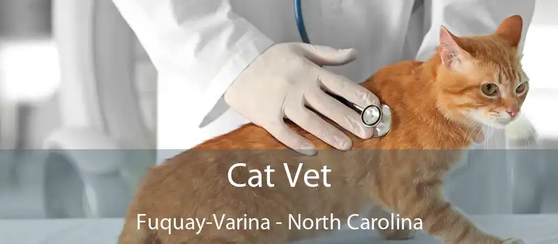 Cat Vet Fuquay-Varina - North Carolina