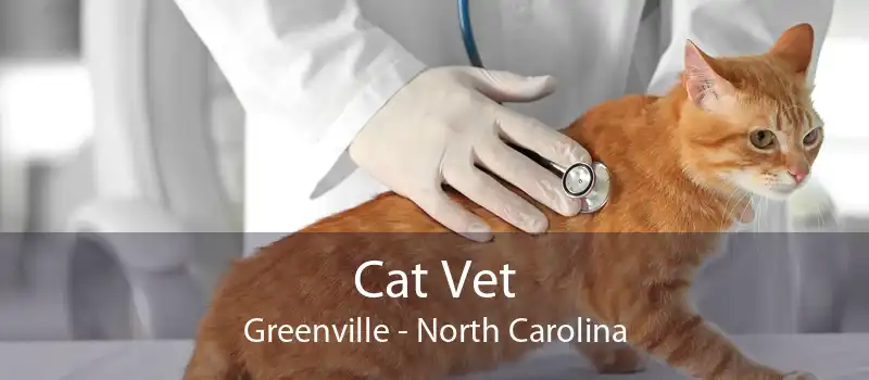 Cat Vet Greenville | Cat Veterinarian & Cat Clinic Greenville