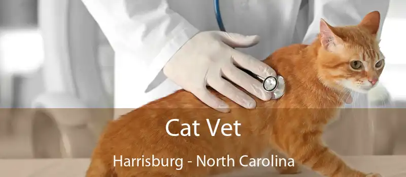 Cat Vet Harrisburg - North Carolina