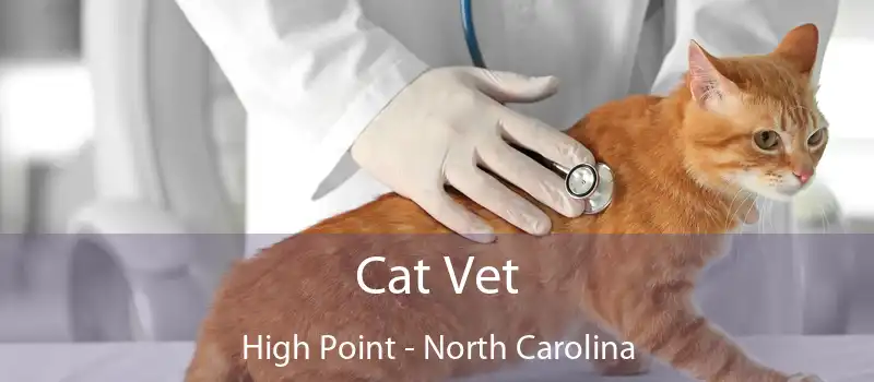 Cat Vet High Point - North Carolina