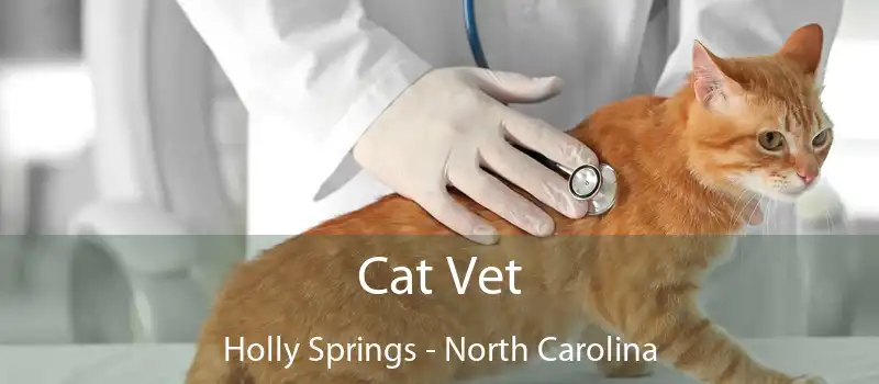 Cat Vet Holly Springs - North Carolina