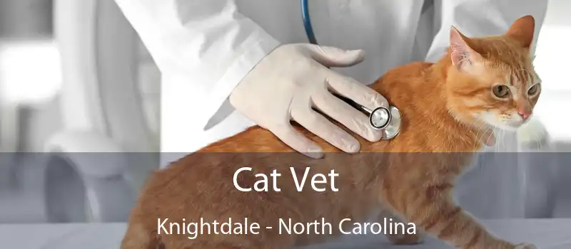 Cat Vet Knightdale - North Carolina