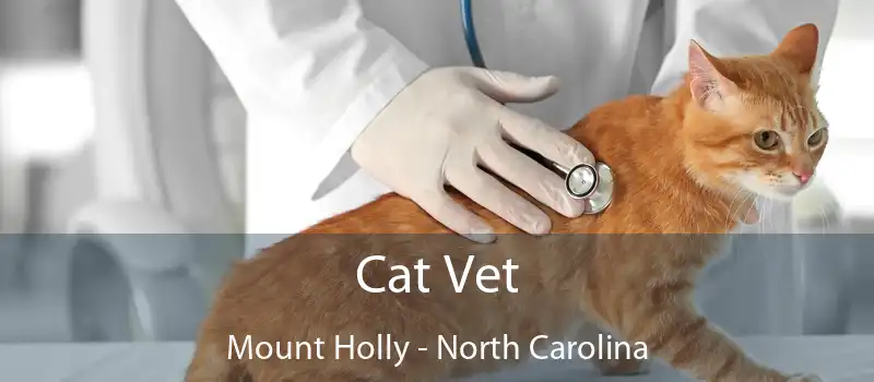 Cat Vet Mount Holly - North Carolina