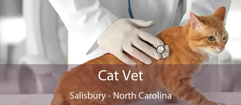 Cat Vet Salisbury - North Carolina