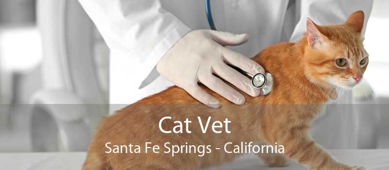 Cat Vet Santa Fe Springs | Cat Veterinarian & Cat Clinic Santa Fe Springs