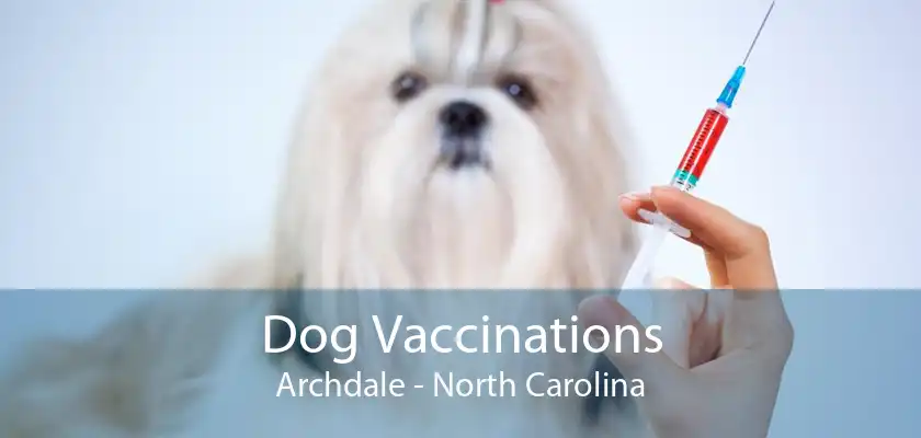 Dog Vaccinations Archdale - North Carolina