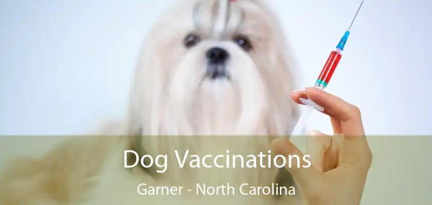 Dog Vaccinations Garner - North Carolina