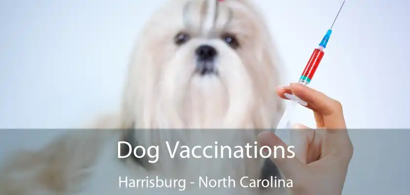 Dog Vaccinations Harrisburg - North Carolina