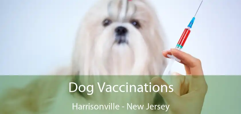 Dog Vaccinations Harrisonville - New Jersey