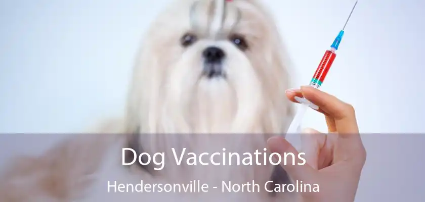 Dog Vaccinations Hendersonville - North Carolina