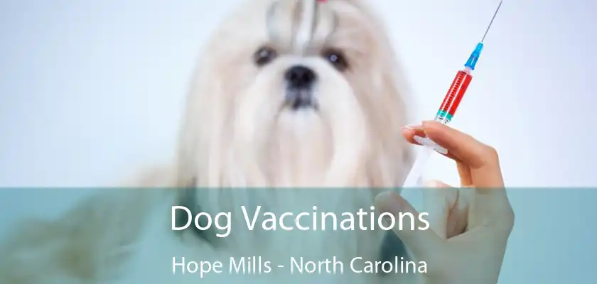 Dog Vaccinations Hope Mills - North Carolina