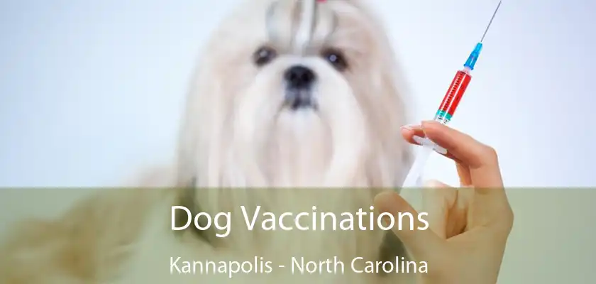 Dog Vaccinations Kannapolis - North Carolina