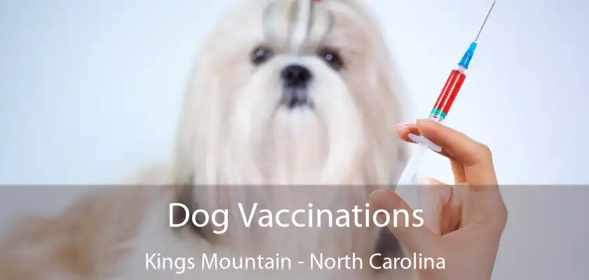 Dog Vaccinations Kings Mountain - North Carolina