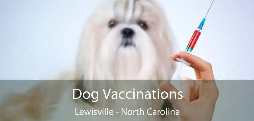 Dog Vaccinations Lewisville - North Carolina