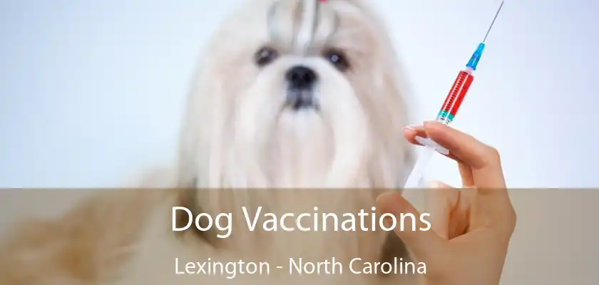 Dog Vaccinations Lexington - North Carolina