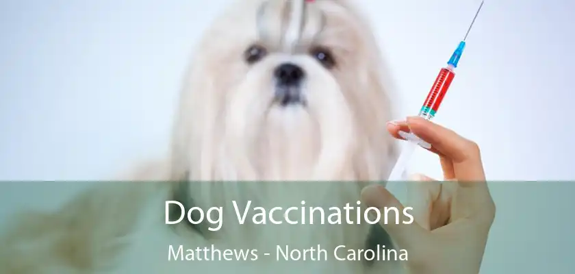 Dog Vaccinations Matthews - North Carolina