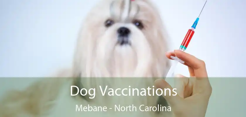 Dog Vaccinations Mebane - North Carolina