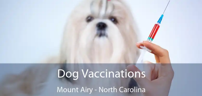 Dog Vaccinations Mount Airy - North Carolina