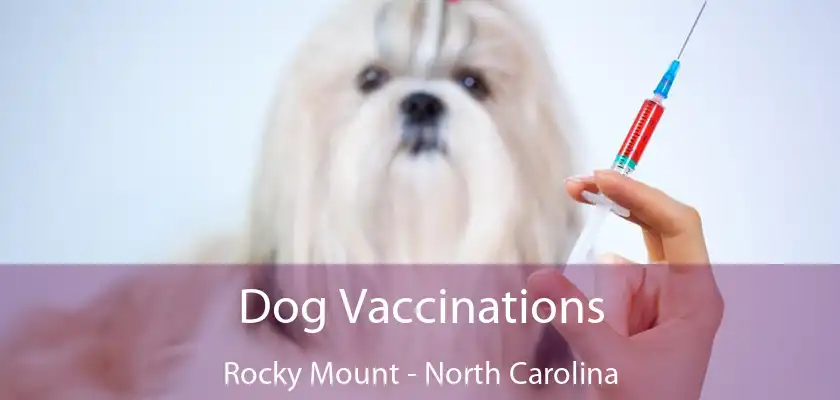 Dog Vaccinations Rocky Mount - North Carolina