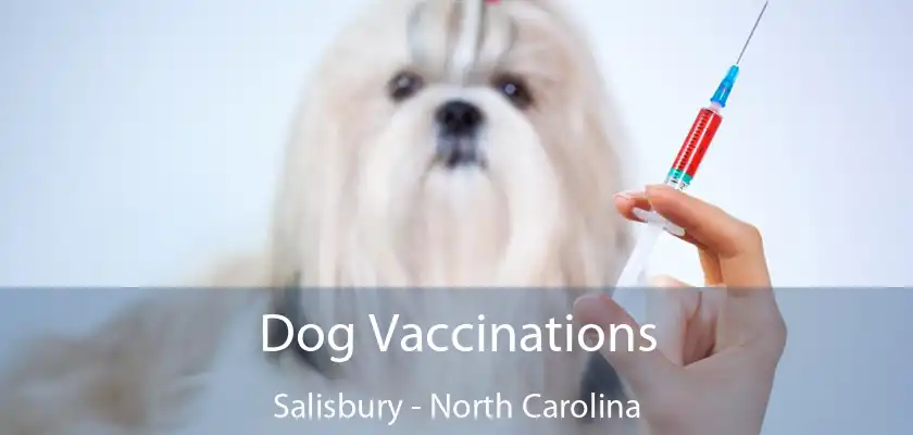 Dog Vaccinations Salisbury - North Carolina