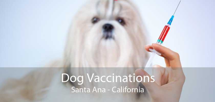 is distemper vaccine necessary for dogs