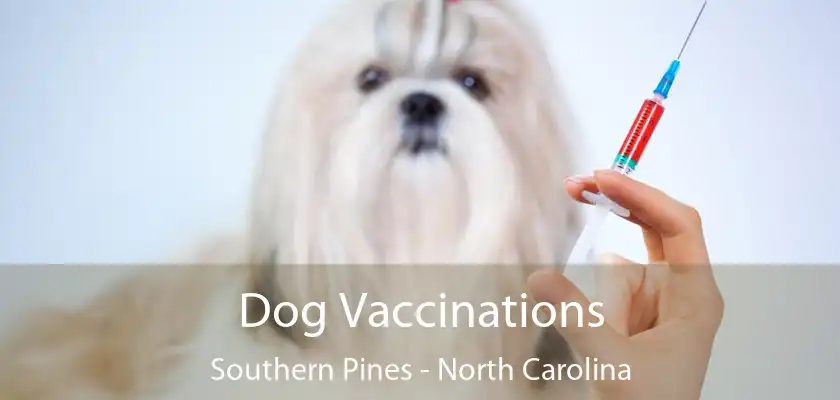 Dog Vaccinations Southern Pines - North Carolina