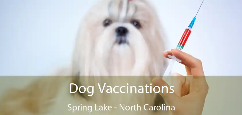 Dog Vaccinations Spring Lake - North Carolina