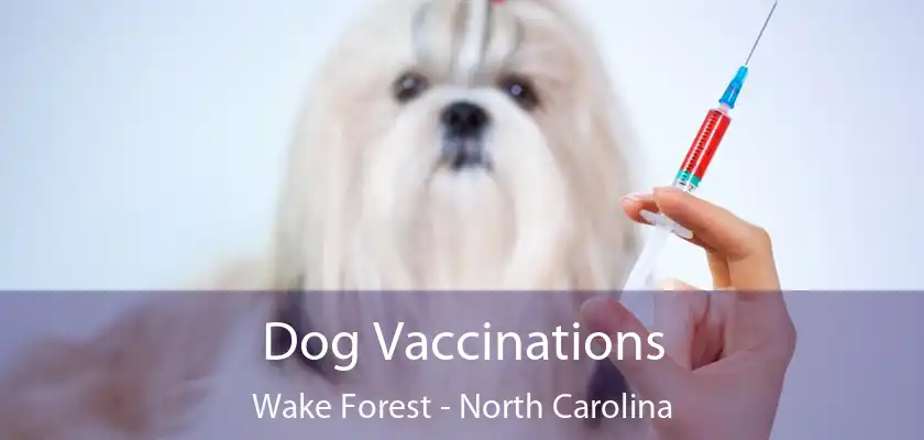 Dog Vaccinations Wake Forest - North Carolina