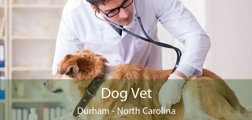 Dog Vet Durham - North Carolina