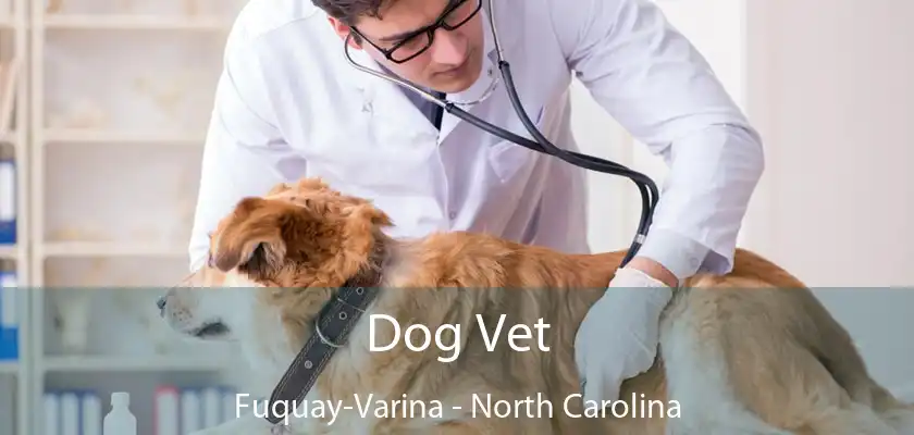 Dog Vet Fuquay-Varina - North Carolina