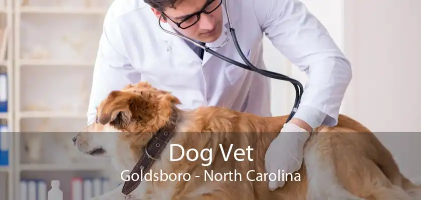 Dog Vet Goldsboro | Vet For Dogs Goldsboro