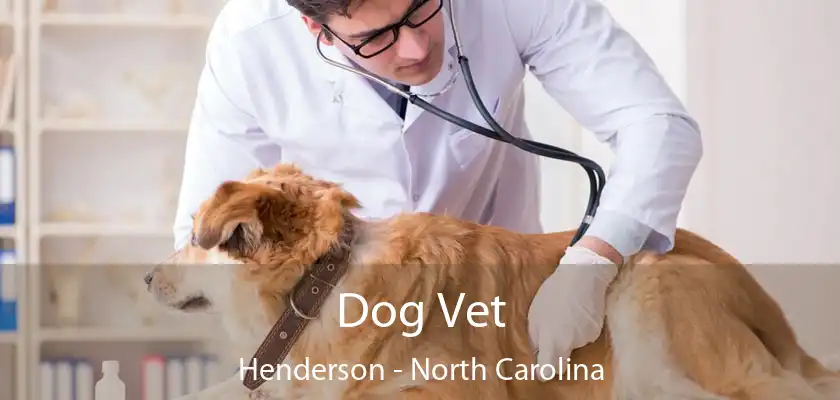 Dog Vet Henderson - North Carolina