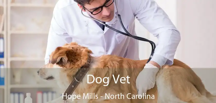 Dog Vet Hope Mills - North Carolina