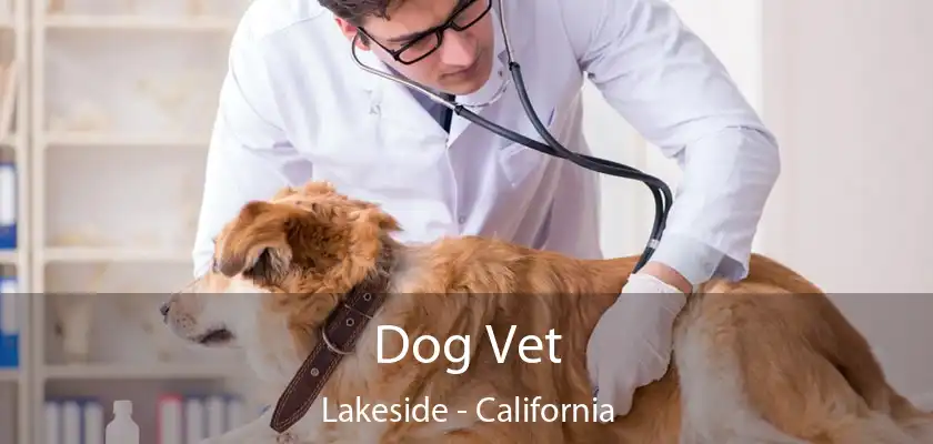 Dog Vet Lakeside - California