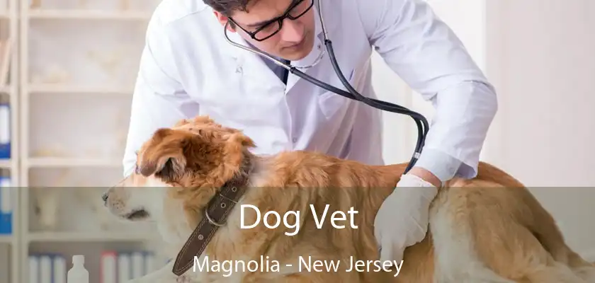 Dog Vet Magnolia - New Jersey