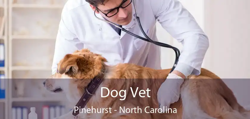 Dog Vet Pinehurst - North Carolina