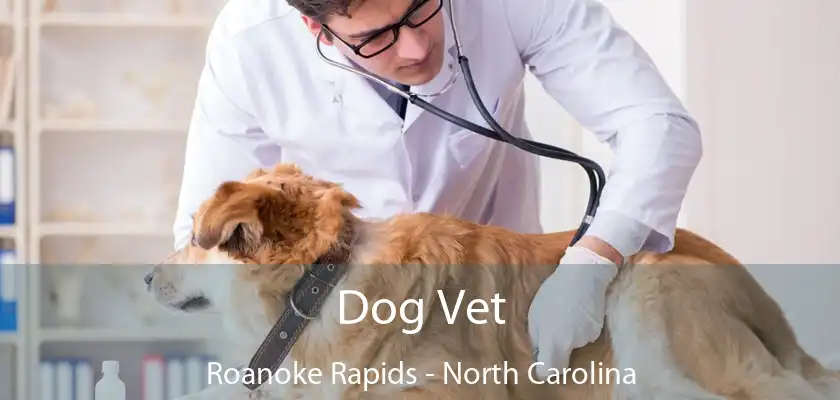 Dog Vet Roanoke Rapids - North Carolina