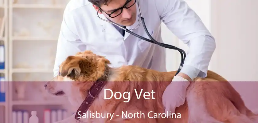 Dog Vet Salisbury - North Carolina