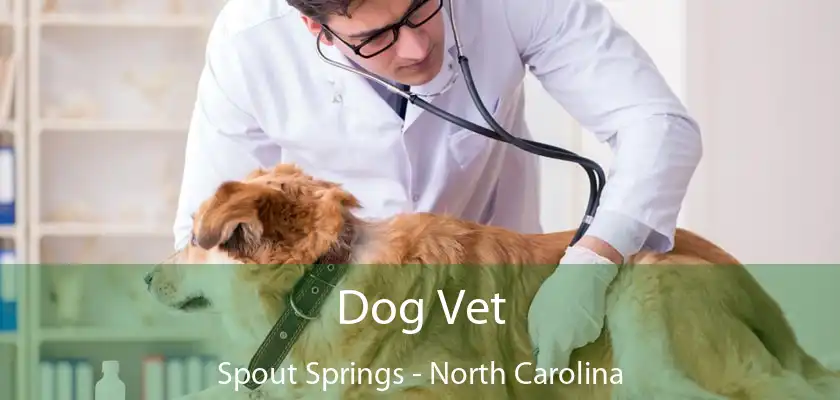 Dog Vet Spout Springs - North Carolina