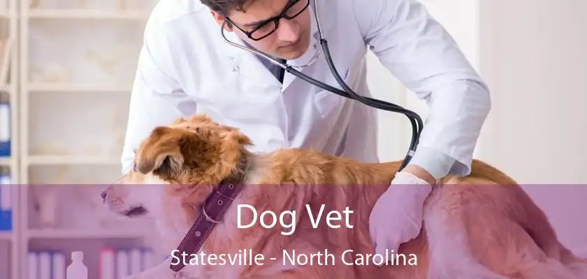 Dog Vet Statesville - North Carolina