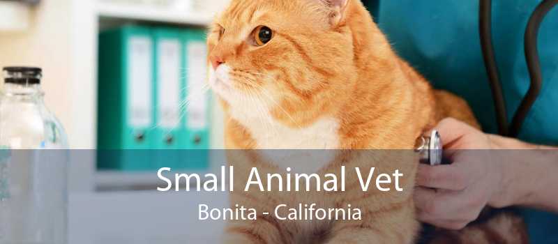 Small Animal Vet Bonita | Small Animal Hospital Bonita