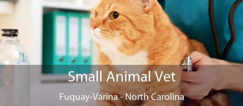 Small Animal Vet Fuquay-Varina - North Carolina