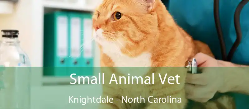 Small Animal Vet Knightdale - North Carolina