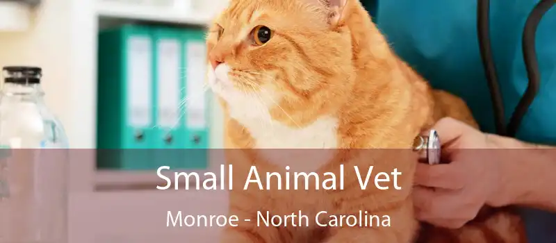 Small Animal Vet Monroe - North Carolina