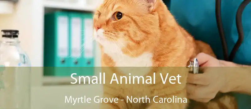 Small Animal Vet Myrtle Grove - North Carolina