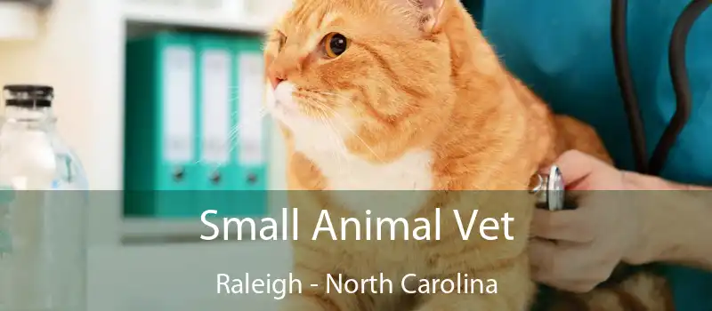 Small Animal Vet Raleigh - North Carolina