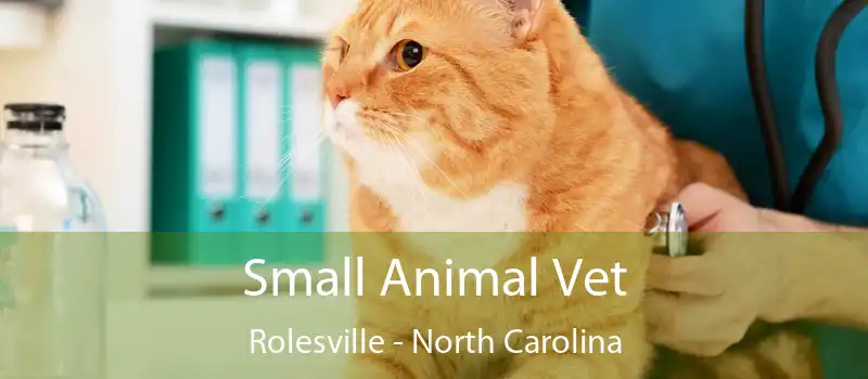 Small Animal Vet Rolesville - North Carolina