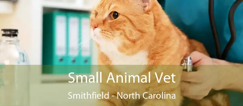 Small Animal Vet Smithfield - North Carolina