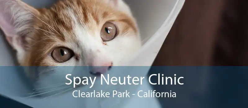 Spay Neuter Clinic Clearlake Park - California