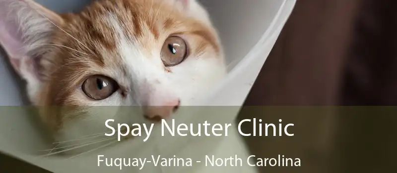 Spay Neuter Clinic Fuquay-Varina - North Carolina